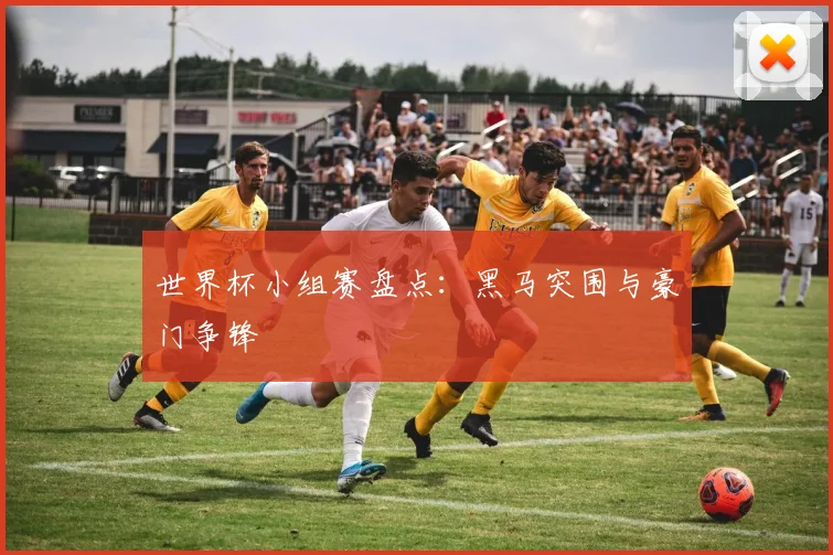 世界杯小组赛盘点：黑马突围与豪门争锋