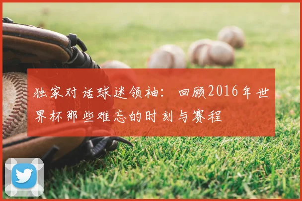 独家对话球迷领袖：回顾2016年世界杯那些难忘的时刻与赛程