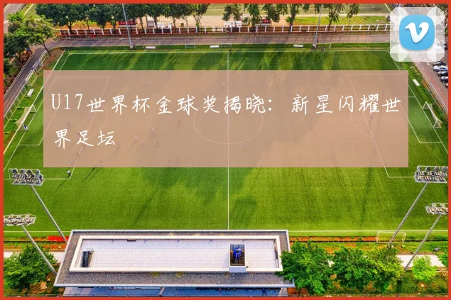 U17世界杯金球奖揭晓:新星闪耀世界足坛